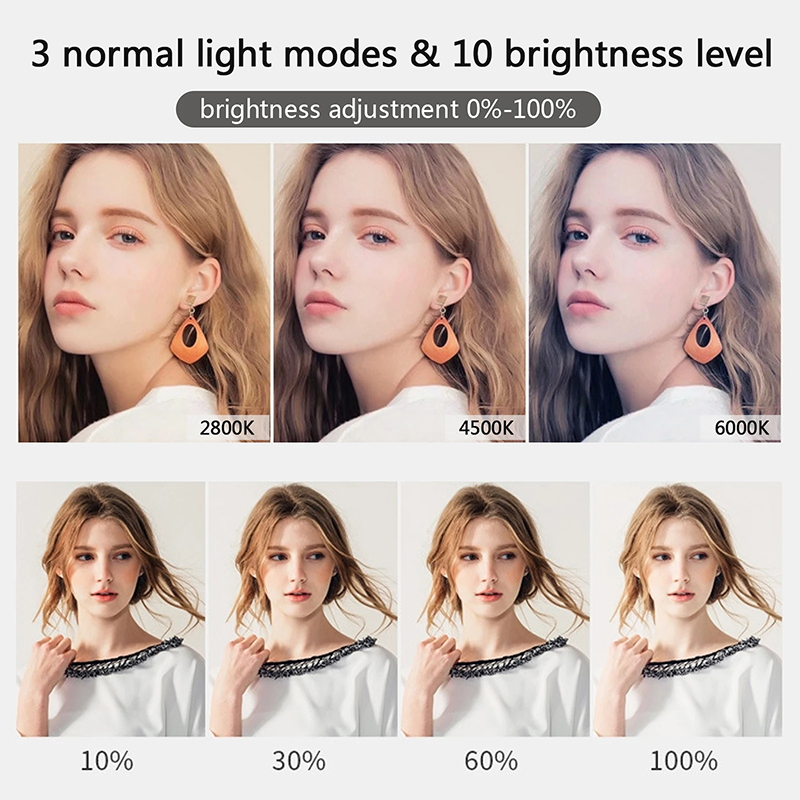 10 inch LED Selfie Ring Light  - Webcam Ring Light ulasan dan harga